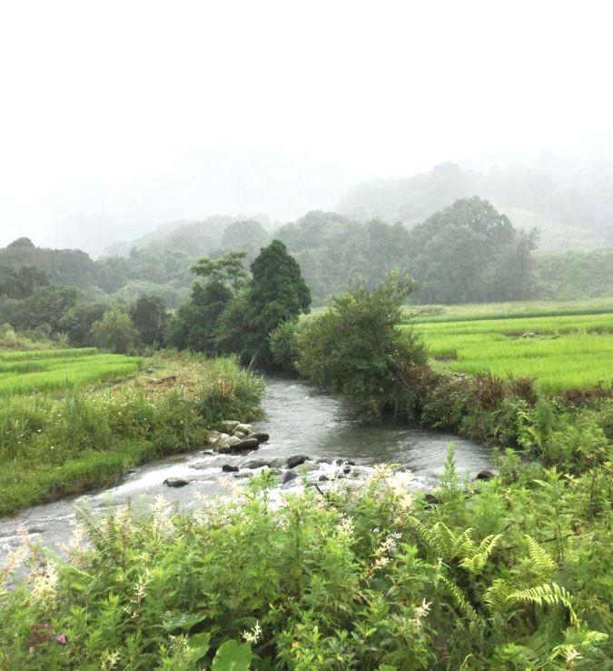 View of Dzuleke village. Mezoma and Dzuleke were declared as ‘Tobacco Free Village’ during the launching programme of Smoke Free District Headquarters Campaign cum District Level coordination committee meeting of District Tobacco Control Cell held on August 27. (Morung Photo)